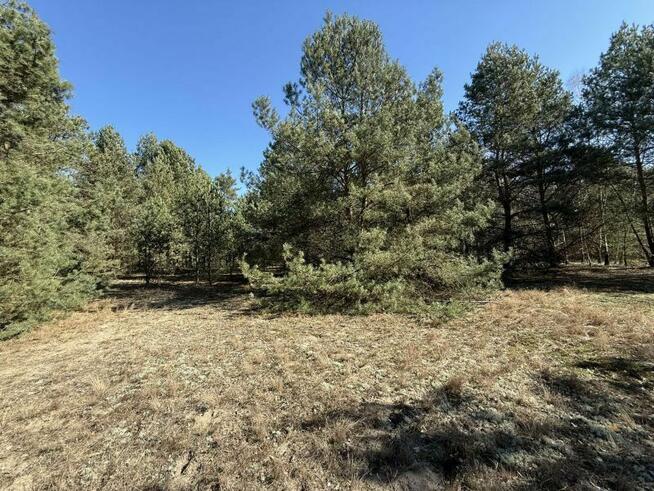 Działka z możliwością zabudowy blisko Gostynina