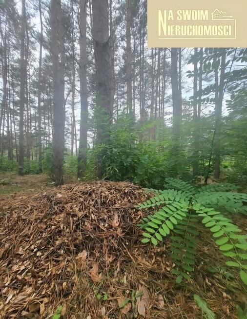 Działka budowlana w lesie Miedźno, 10 min od Sieradza