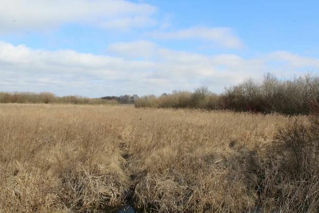 Działka rekreacyjna w Kwiku blisko jeziora Białoławki