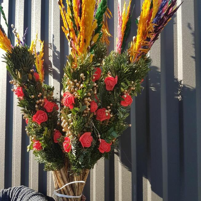 Palma Wielkanocna, palma żywa, Palma Sucha -PRODUCENT