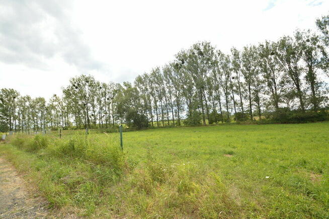 Działka w Prószkowie.