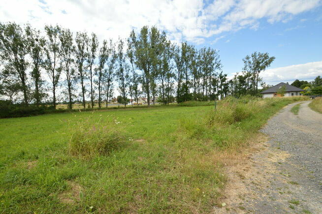 Działka w Prószkowie.