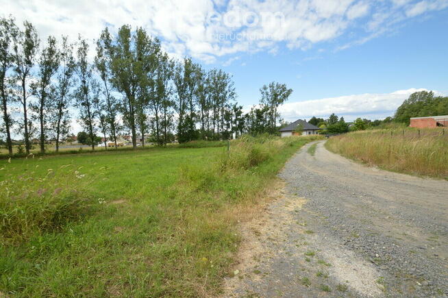 Działka w Prószkowie.