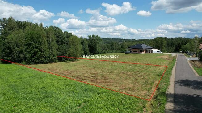 Działka leśna Siepraw, Kalinowa