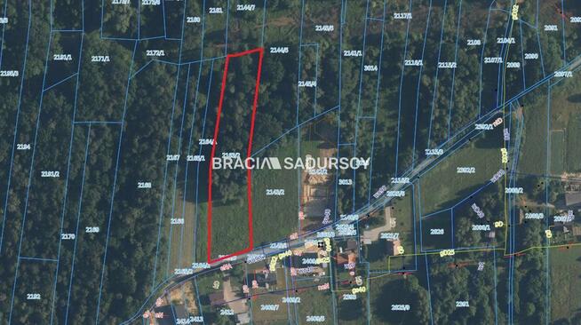 Działka leśna Siepraw, Kalinowa