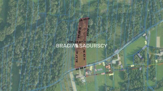 Działka leśna Siepraw, Kalinowa