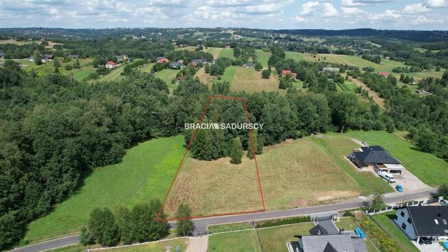 Działka leśna Siepraw, Kalinowa