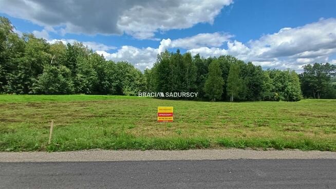 Działka leśna Siepraw, Kalinowa