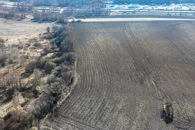 Duża działka budowlana w Krzeczowie