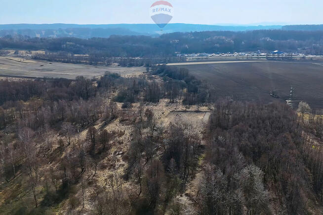 Duża działka budowlana w Krzeczowie