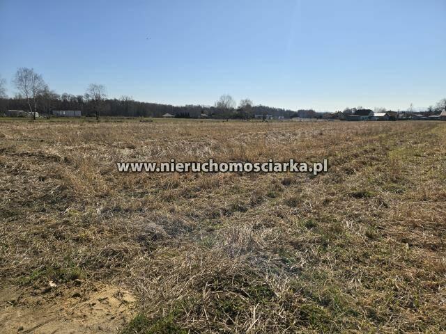 Działka budowlana Gołkowice gm. Godów