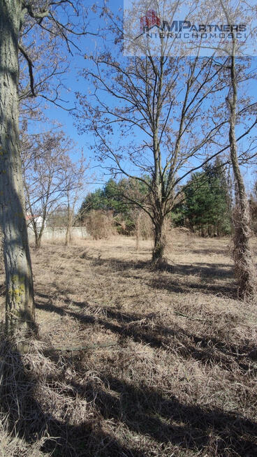 DZIAŁKA 756m2/woda,prąd w drodze/KOTOWICE