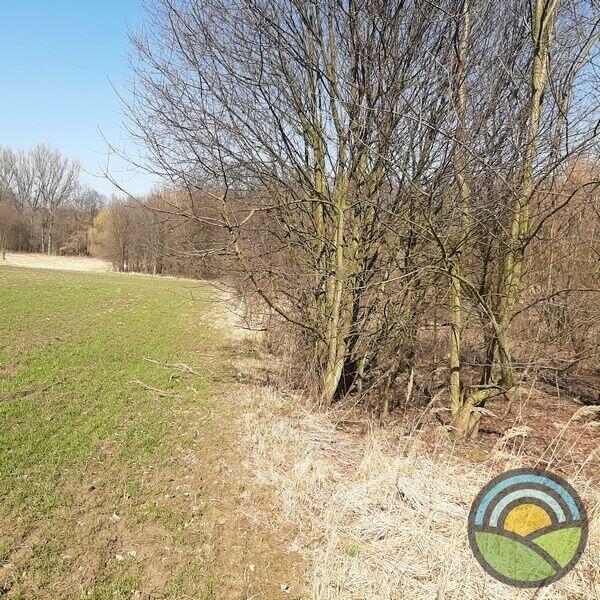 Niegoszowice gm. Zabierzów - działka bud.rolna 5000m2