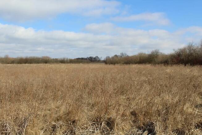 Działka rekreacyjna w Kwiku blisko jeziora Białoławki