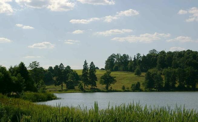 50 ha ziemii z dostępem do jeziora. Mazury Garbate