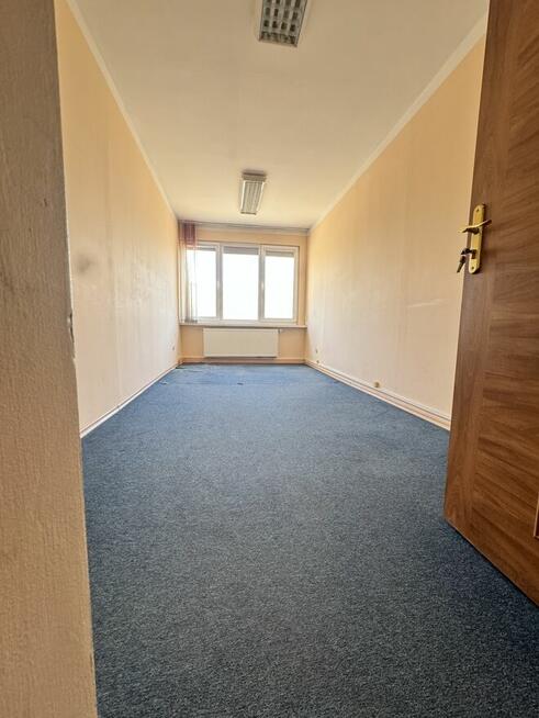 Wynajem Biura Lokali Elbląg Biuro na Wynajem + Parking