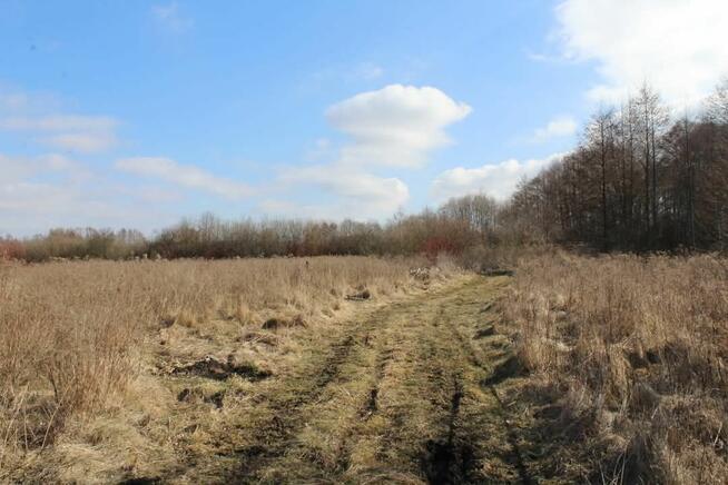 Działka rekreacyjna w Kwiku blisko jeziora Białoławki