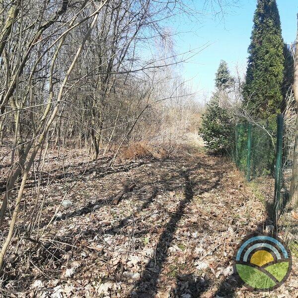 Niegoszowice gm. Zabierzów - działka bud.rolna 5000m2