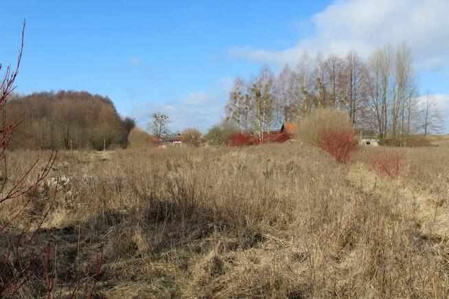 Działka rekreacyjna w Kwiku blisko jeziora Białoławki