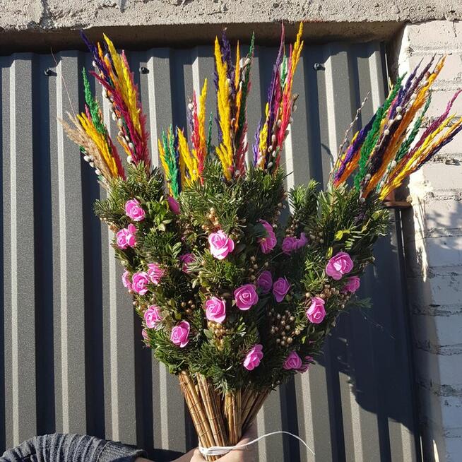 Palma Wielkanocna, palma żywa, Palma Sucha -PRODUCENT