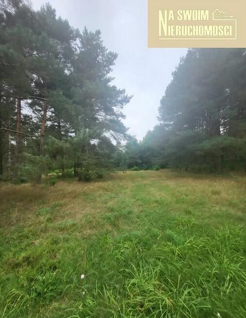 Działka budowlana w lesie Miedźno, 10 min od Sieradza