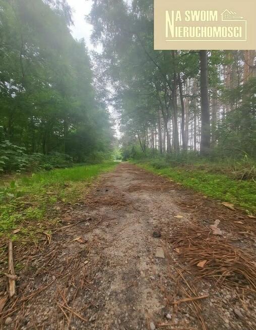 Działka budowlana w lesie Miedźno, 10 min od Sieradza
