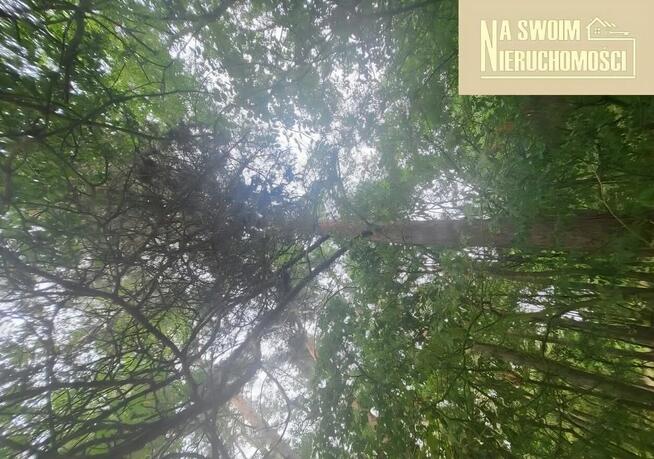 Działka budowlana w lesie Miedźno, 10 min od Sieradza