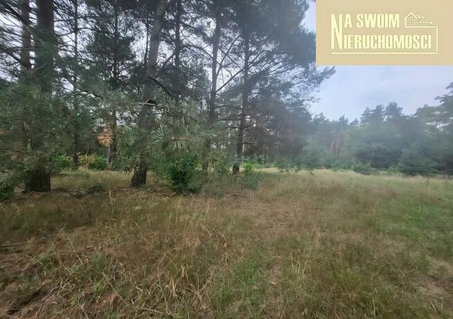 Działka budowlana w lesie Miedźno, 10 min od Sieradza