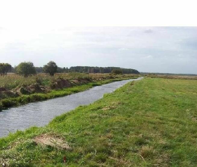 Działka rekreacyjna z linią brzegową