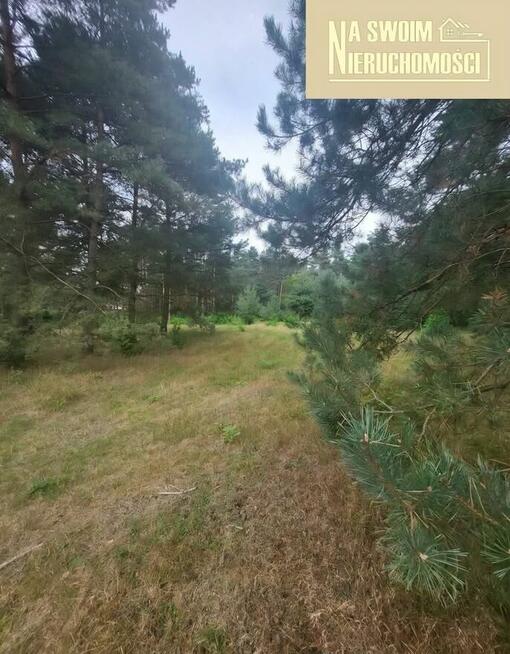 Działka budowlana w lesie Miedźno, 10 min od Sieradza