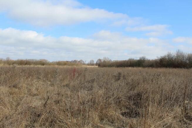 Działka rekreacyjna w Kwiku blisko jeziora Białoławki