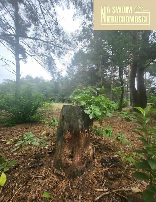 Działka budowlana w lesie Miedźno, 10 min od Sieradza