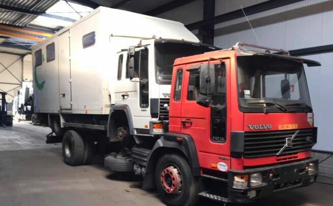 Skup samochodów Ciężarowych oraz Ciągników Siodłowych Afryka