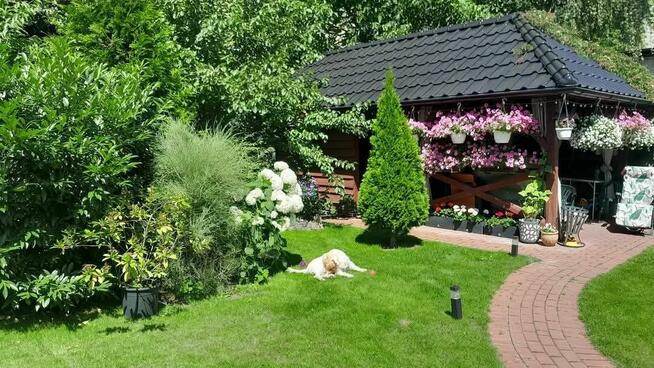 Nowoczesny dom w centrum miasta – przestrzeń, komfort i świ