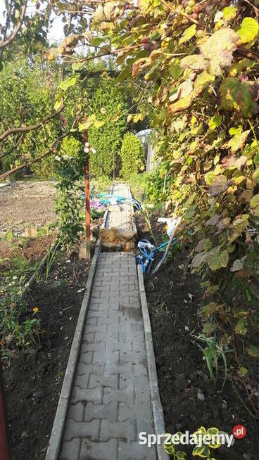 Sprzedam działke na ROD Stare Stawy Oświęcim