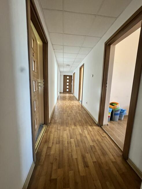 Wynajem Biura Lokali Elbląg Biuro na Wynajem + Parking