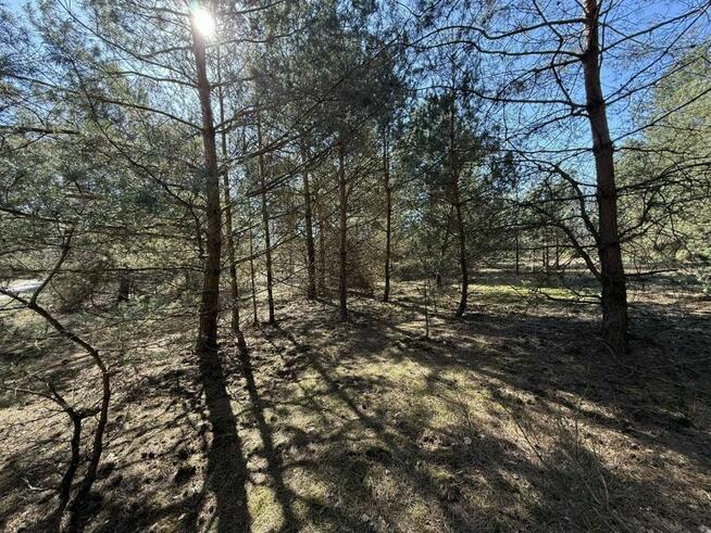 Działka z możliwością zabudowy blisko Gostynina