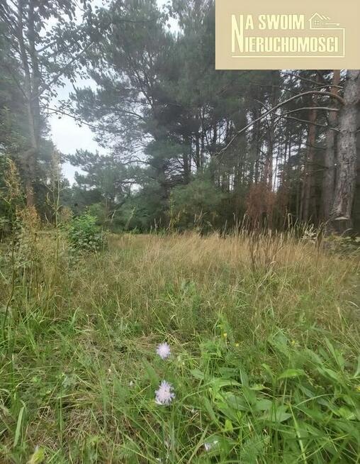 Działka budowlana w lesie Miedźno, 10 min od Sieradza