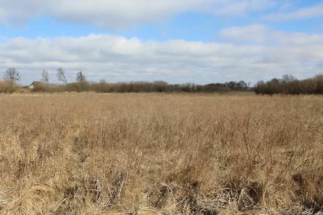 Działka rekreacyjna w Kwiku blisko jeziora Białoławki