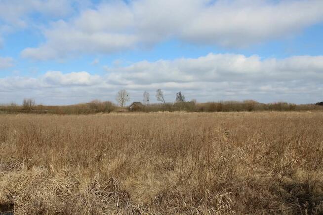 Działka rekreacyjna w Kwiku blisko jeziora Białoławki