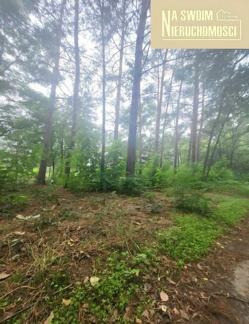 Działka budowlana w lesie Miedźno, 10 min od Sieradza