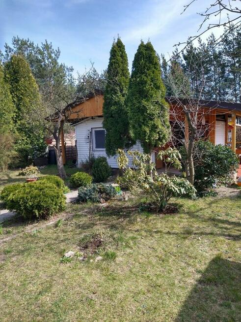 Domek na małym ROD (100 domków) Szczaki