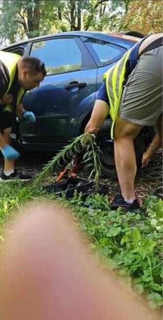 Mechanika 24h Gniezno Pobiedziska Żnin I okolice