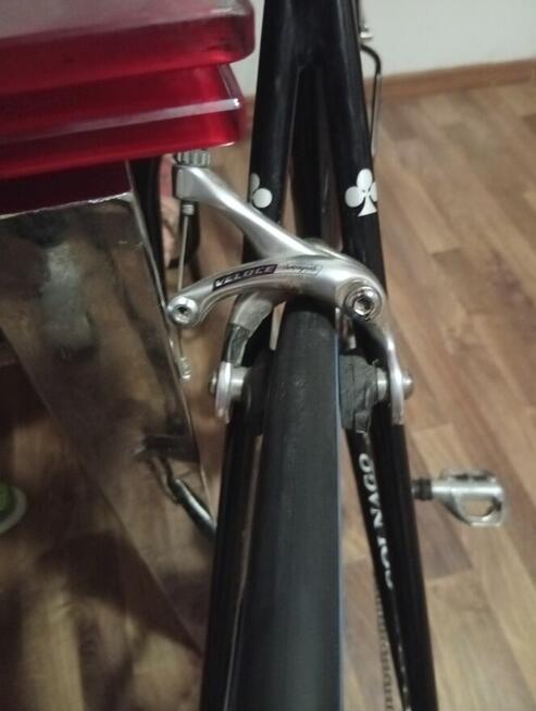 Colango klarzówka z Belgii