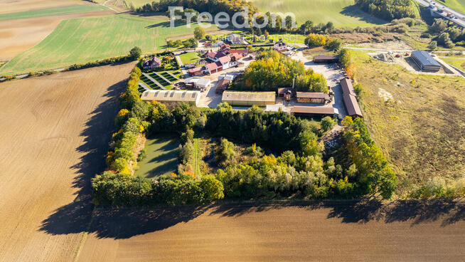 Funkcjonujący tartak - działka blisko 4 ha