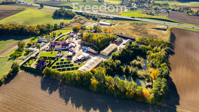 Funkcjonujący tartak - działka blisko 4 ha