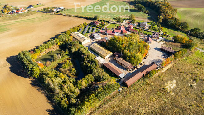 Funkcjonujący tartak - działka blisko 4 ha