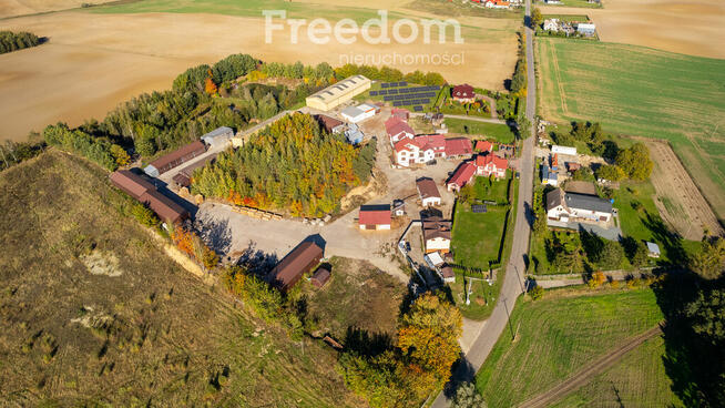 Funkcjonujący tartak - działka blisko 4 ha