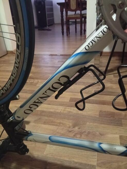 Colango klarzówka z Belgii