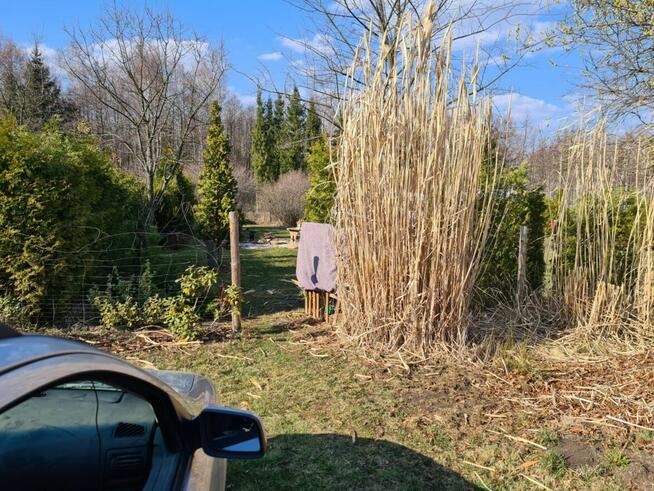 Działka rekreacyjna! Duża: 5 ar!